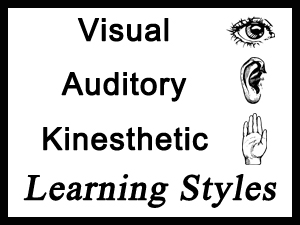 visual auditory kinesthetic learning styles