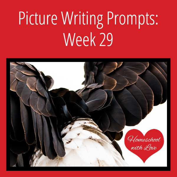 Picture Writing Prompts Week 29